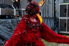 Harpyie-Heidenlaerm-1706-2022-StS-03032