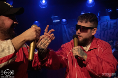 bb1402DSC_2279X-low-light