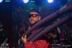 bb1402DSC_2401X-low-light