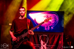 Klogr-Wuerzburg-19-11-2024-rh-4022