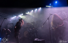 Krater-BotRII-0605-2022-StS-08605