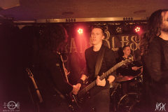 MM6LLDSC_7088X-low-light