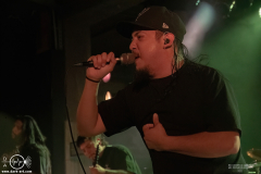 sylssub0102DSC_5948X-low-light