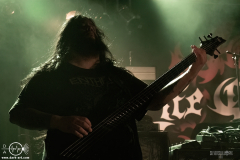 sylssub0102DSC_6021X-low-light