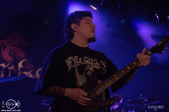 sylssub0102DSC_6055X-low-light