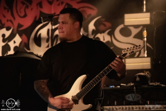 sylssub0102DSC_6247X-low-light