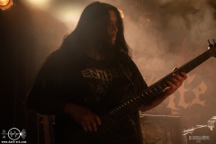 sylssub0102DSC_6543X-low-light