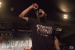 IMG_6806-severe-noise