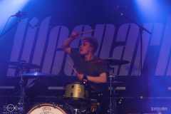 AKKMM11FrDSC_8184X-low-light AKKMM11FrDSC_8184X-low-light