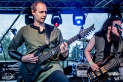 mandragora-thuringia-fr-2021-07-16-4829