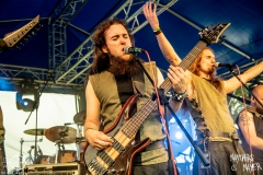 mandragora-thuringia-fr-2021-07-16-4841