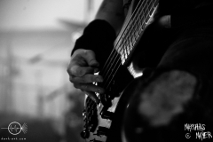 Firtan_016_MOA_8306