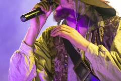 Mr.-Hurley-und-die-Pulveraffen-Hoppegarten-28.05.2016-MPS-_DSC5979