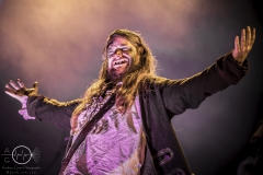 Mr.-Hurley-und-die-Pulveraffen-Hoppegarten-28.05.2016-MPS-_DSC6037