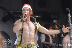 MPS-Karlsruhe-2016-saltatio-mortis-DSC_0829