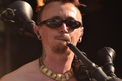 MPS-Karlsruhe-2016-saltatio-mortis_DSC0508