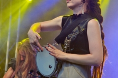 MPS-Seyer-2017_DSC_0990