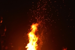 MPS-Seyer-2017_DSC_1141