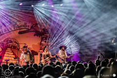 mr-hurley-und-die-pulveraffen-Eisheilige-Nacht-Giessen-17-12-2022-rh-EHN_7528