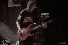 mgsht25DSC_0197X-low-light