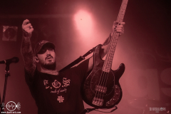 mgsht25DSC_0219X-low-light