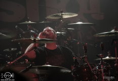 mgsht25DSC_0261X-low-light