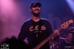 mgsht25DSC_0281X-low-light