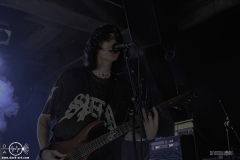 mgsht25DSC_9461X-low-light