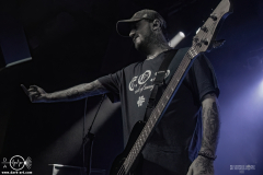 mgsht25DSC_9524X-low-light