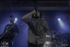 mgsht25DSC_9532X-low-light