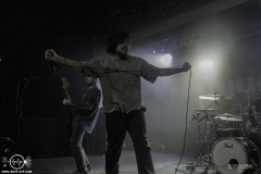 mgsht25DSC_9637X-low-light