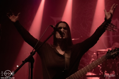 NOE25DSC_3984X-low-light