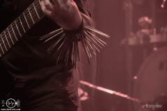 Nrn25DSC_4531X-low-light