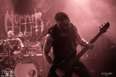 Nrn25DSC_4535X-low-light