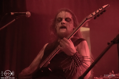 Nrn25DSC_4610X-low-light