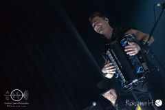 Paddy-and-the-Rats_Würzburg_DSC_5312