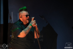 Paddyhats-Dortmund-EisheiligeNacht-LN-20-12-2024-22