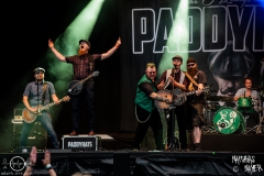 Paddyhats-Taubertal-2021-08-18-3394