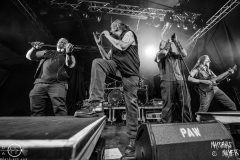 Waylander-Paganfest-Geiselwind-24-01-2024-MM-PF2_8615-Verbessert-RR