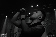 ejlmh2102DSC_7534X-low-light