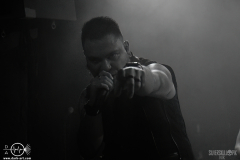 ejlmh2102DSC_8390X-low-light