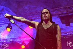 Primordial_6