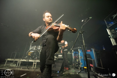 Rauhbein-nuernberg-hirsch-03-04-2024-rh-1780-done
