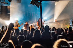 Rauhbein-nuernberg-hirsch-03-04-2024-rh-5062-done