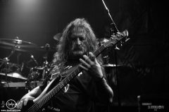 Rdgrn2609DSC_2529X-low-light