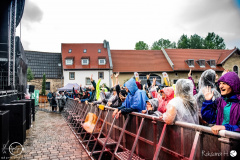 Reis-Against-the-Spuehlmaschine-Gut-Woelried-30-06-2024-rh-0100-done
