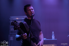 FavRelDSC_5985X-low-light