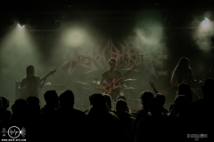 sylssub0102DSC_8996X-low-light