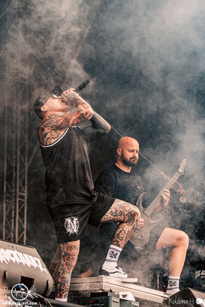 Necrotted-RHZ-Sa-2026-8218