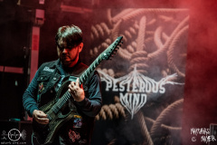 Pesterous-Minds-Schlichtenfest-Open-Air-Sa-30-07-2022-MM-7596